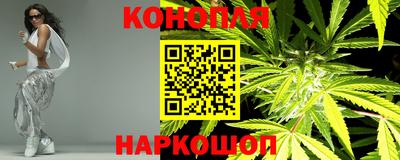 дживик Гай